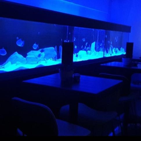 The New Blue Horse Suite At The Grumpy Schnauzer B&B Luxury Private Indoor Hot Tub Breakfast In Bed Airdrie Kültér fotó