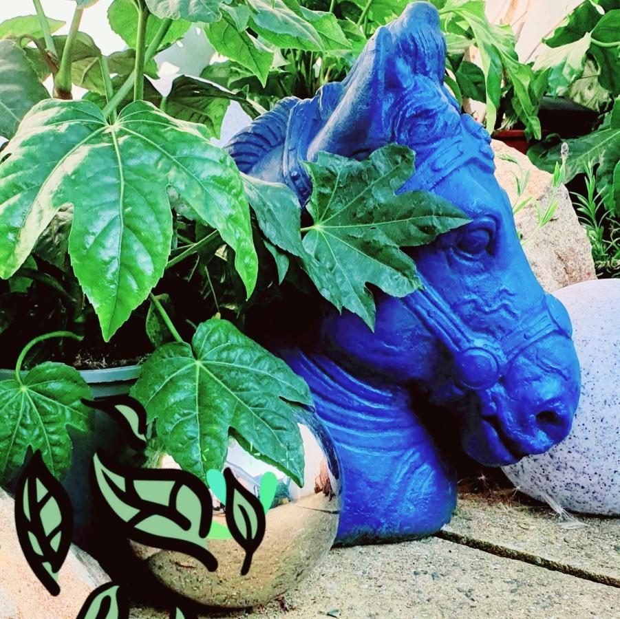 The New Blue Horse Suite At The Grumpy Schnauzer B&B Luxury Private Indoor Hot Tub Breakfast In Bed Airdrie Kültér fotó
